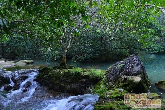 寻找沙漠珍宝