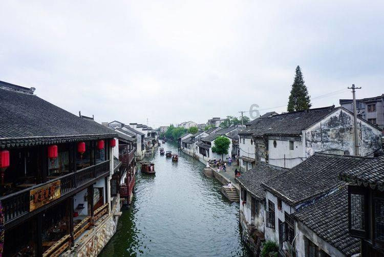 救援受困的长颈鹿